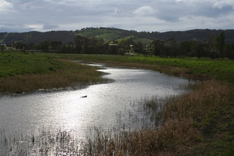 35-Floodplain-Wetland-Complex-Marilyn-Bull.jpg