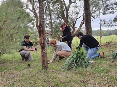 Friends of the Helmeted Honeyeater