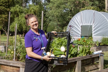 Healesville Community Garden - Picking food