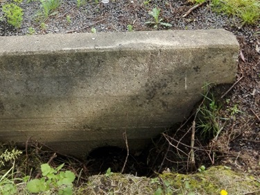 Cross Road Culvert