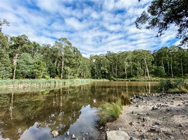 Belgrave Lake