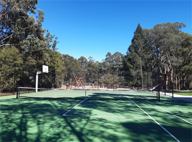 Basketball court