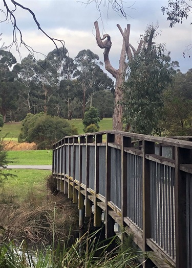 Bridge over the duck pond