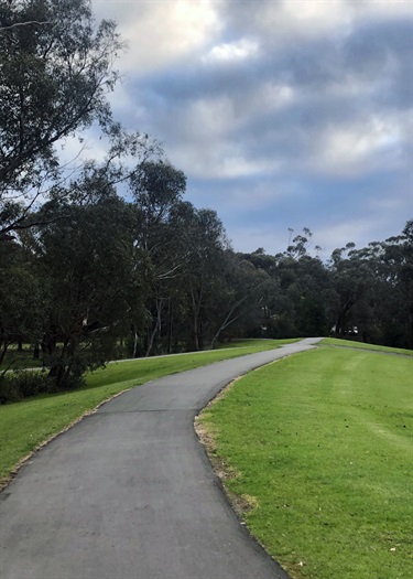 Trails through the reserve