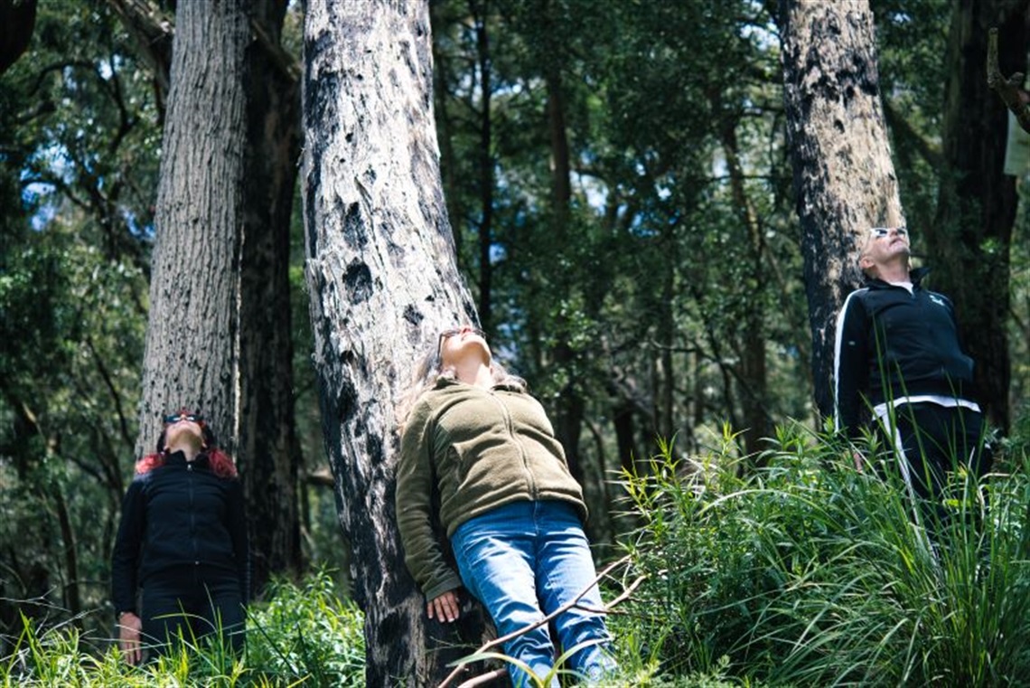 EPA, Tree Lean, image from site rehearsal