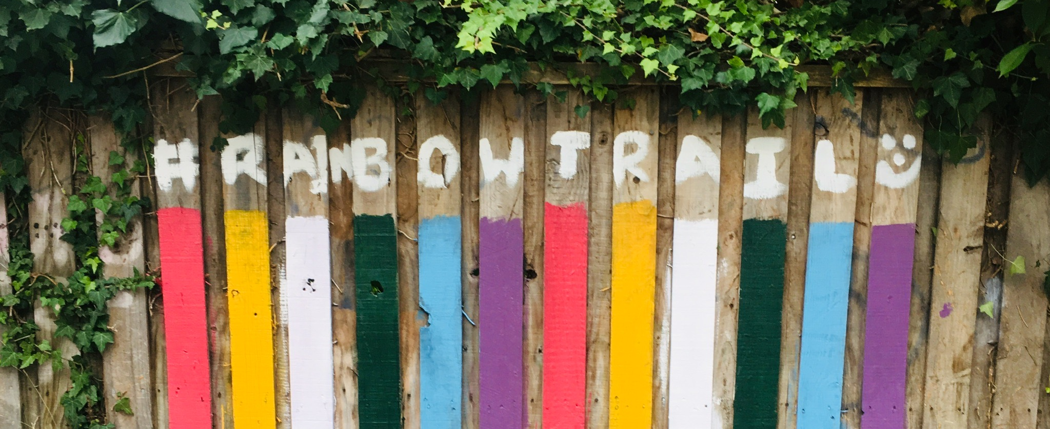 A photo taken by Caroline Drury of a rainbow painted on a fence, with the words 'rainbow trail'