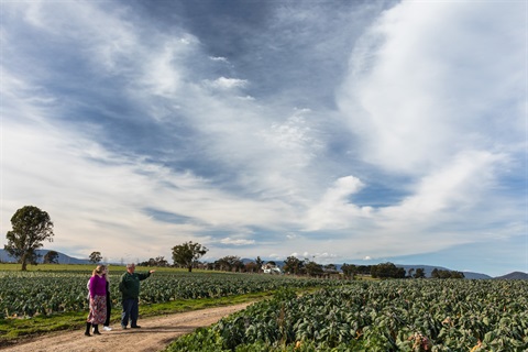 Coldstream - Adams Farm (2).jpg