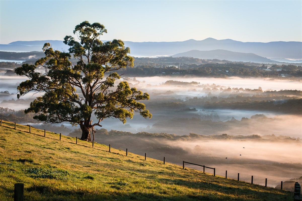 About the Region Yarra Ranges Council