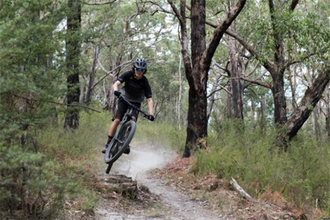 Person riding a mountain bike through the forest