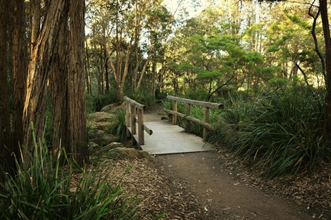 Bushlands Walk.jpg