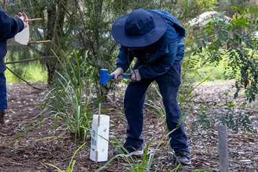 Margaret Lewis Reserve Planting 2023