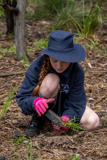 Margaret Lewis Reserve Planting 2023