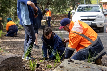 Margaret Lewis Reserve Planting 2023