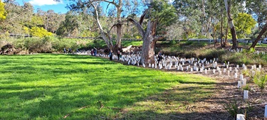 Everard Park Planting 2023