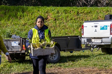 Seville Planting 2023