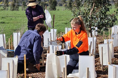 Woori Yallock Planting 2023