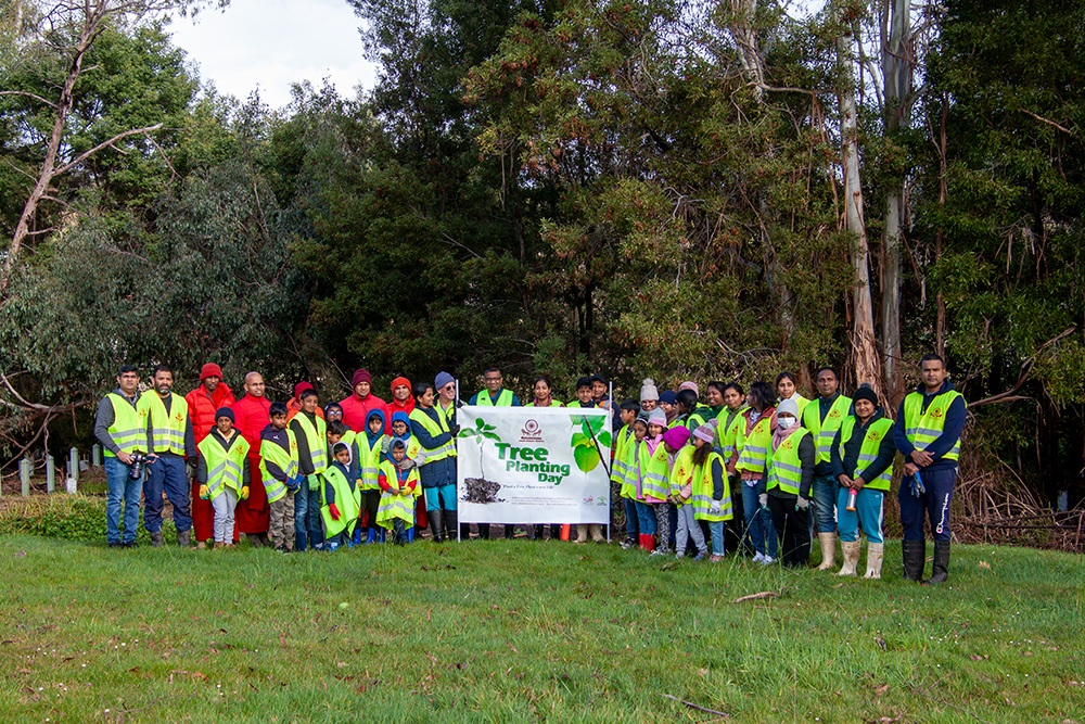 tree-planting-seville-10.jpg