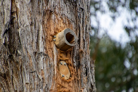 artificial-tree-hollow.jpg