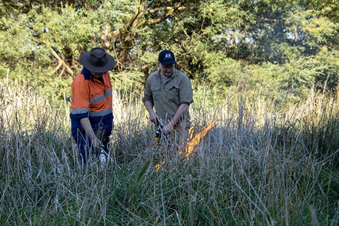 cultural-burn-yarra-ranges-council.jpg