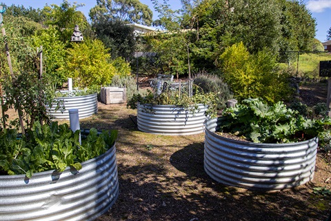 Yarra Glen Living and Learning Centre Garden Group's Edible Forest ...