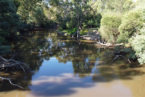 yarra-river-at-spadonis-reserve.jpg