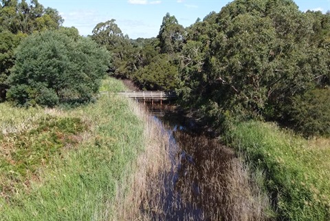 Billabong Walk and Talk Spadonis Yarra Ranges Council