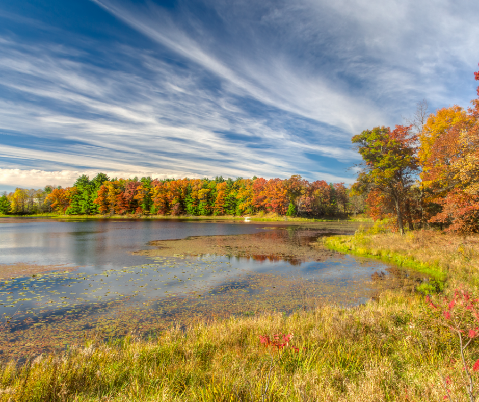 mindful lake