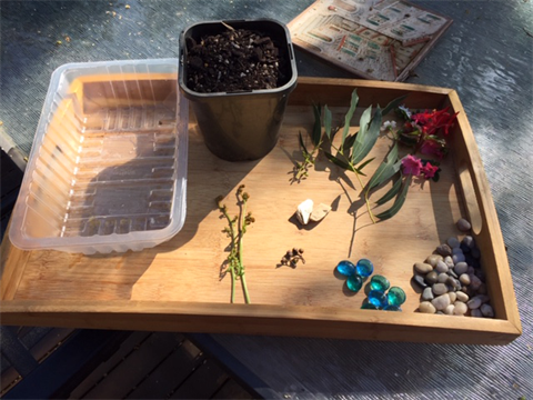 tray of supplies needed to make a miniature garden