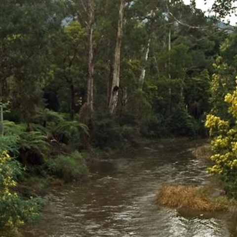 Yarra River