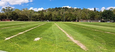 Queens Park Oval re‐opened in time for first cricket game of the new year (Ryrie Ward)