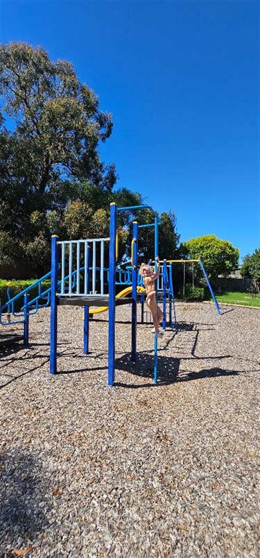 side view of play equipment with firefighters pole