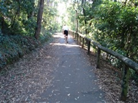 Person riding a bike on the Belgrave Rail Trail