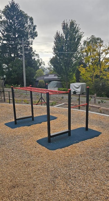 Back View monkey Bars