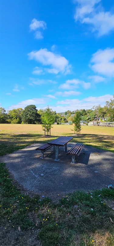 Picnic table and Oval