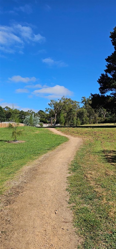 Unpaved-walking-path