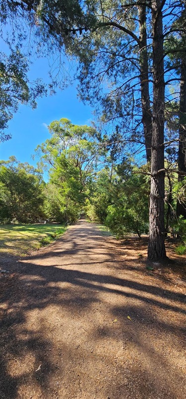 Unpaved Walking path