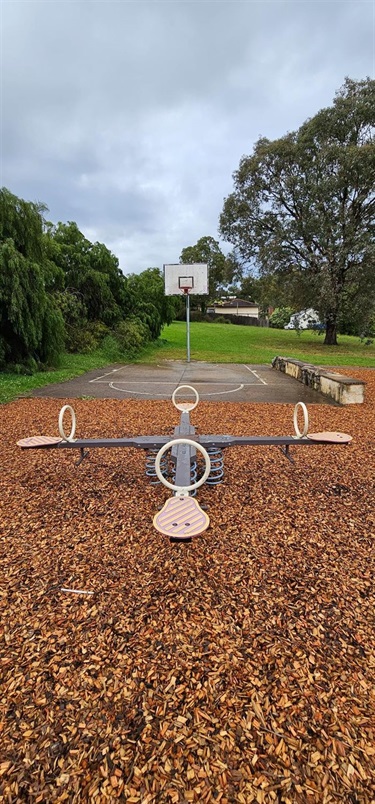 See-Saw and Basketball Ring