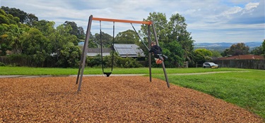 Swings