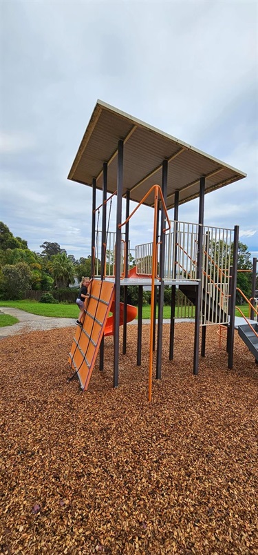 Climbing Tower and Climbing Wall