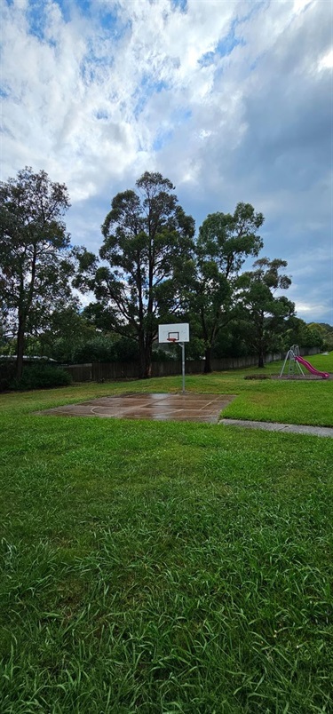 Basketball Court