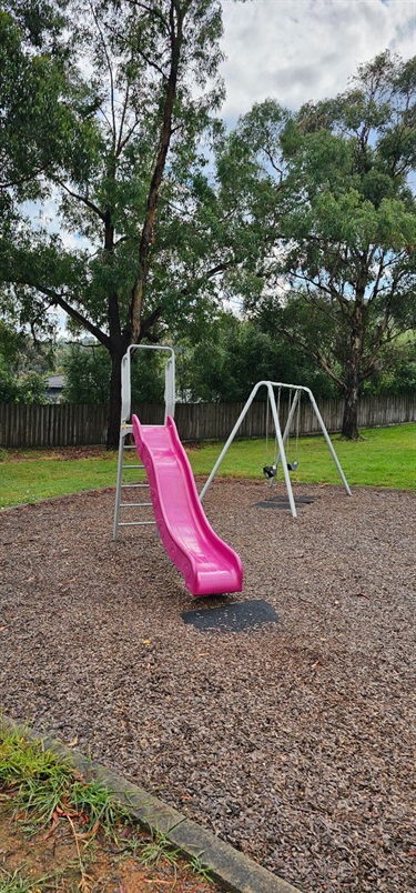 Slide and Swings