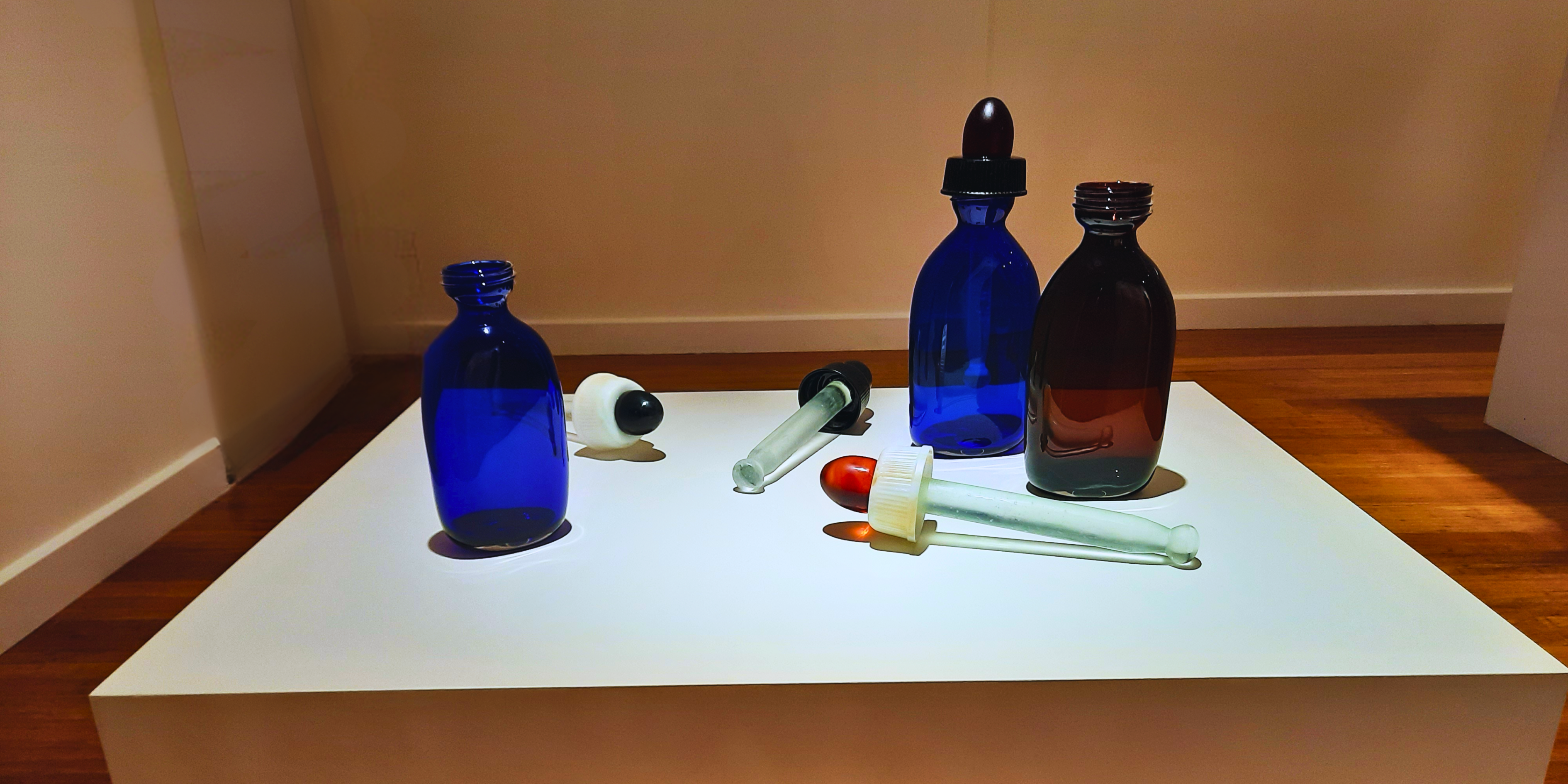 Luna Ryan, Medicine and Poison (same look - double the dose), 2023, installation view.png