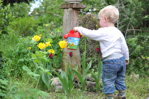 How To Garden for wellbeing4