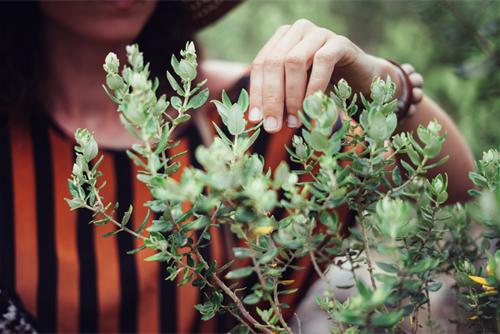 How To Garden for wellbeing