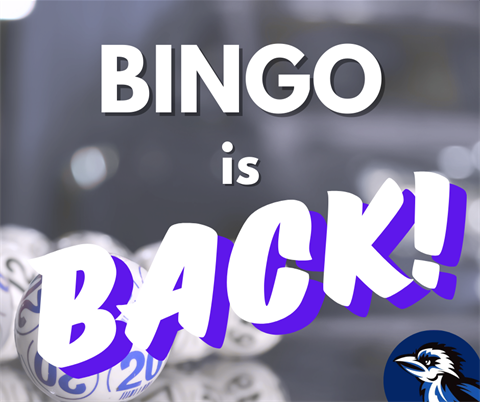 BINGO-is-back