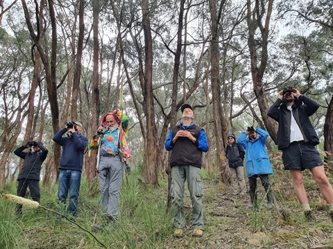 Volunteers_bird-survey-Giles-Rd-Maccy-Ck-track-YNCA-2022-1116-1.1-image-S.Tardif