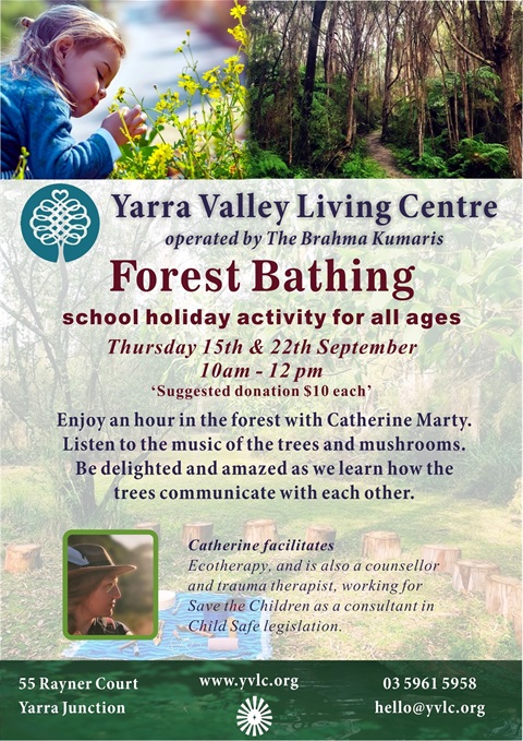 childrens-forest-bathingA4-flyer-1522-September-22-2-design