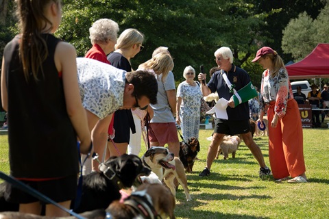 healesville-dogs-day-out-event-1