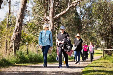 TGC-group-walk