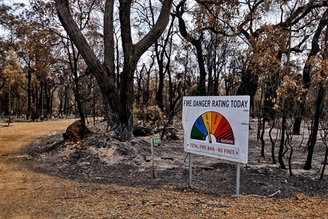 bushfire-4772240_640